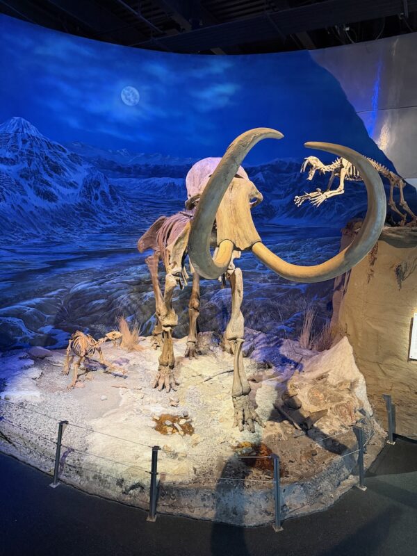 PlanetSKI Heads to Dinosaur Country